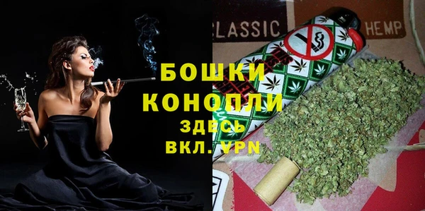прущие грибы Рославль